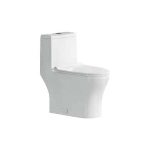 ALPS-KW-88008 , One-Piece Gloss White Dual Flush Toilet.